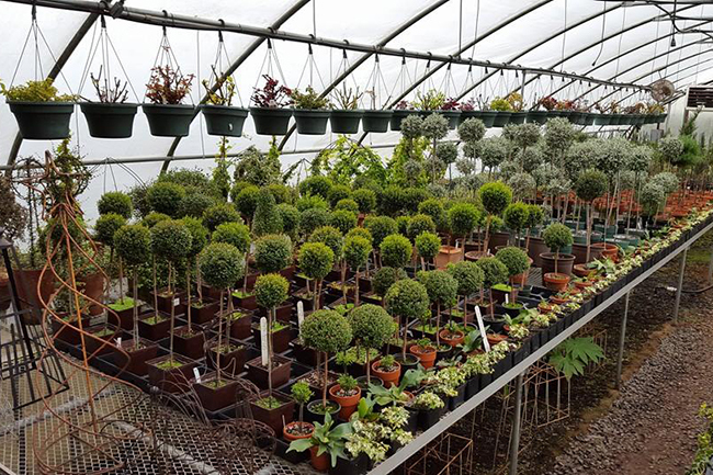 Somerset County, NJ Open Day